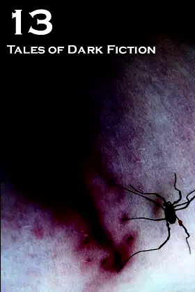 13: Tales Of Dark Fiction poster