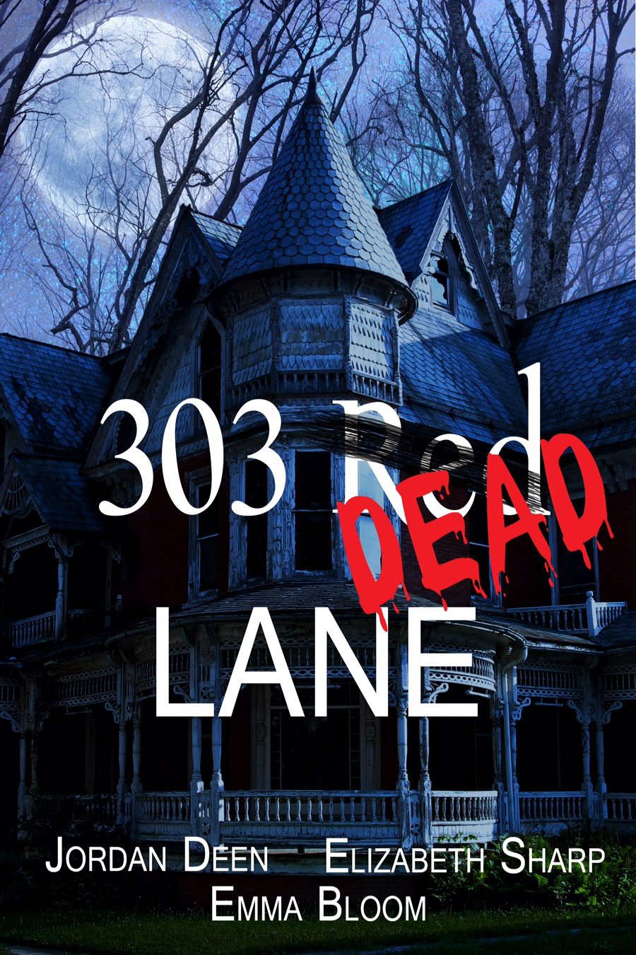 303 Red Dead Lane poster