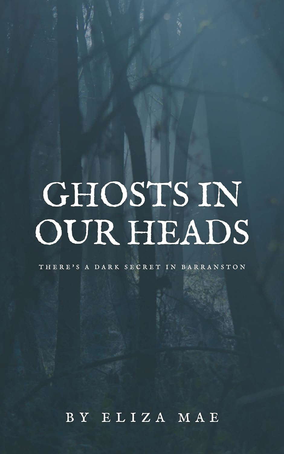 Ghosts in Our Heads poster
