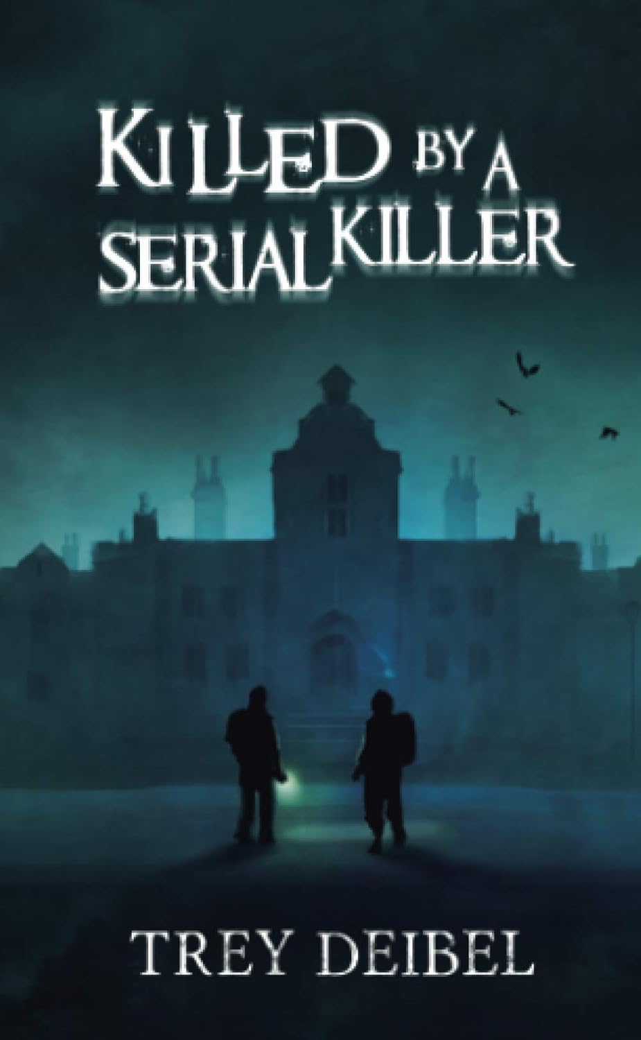 Killed by a Serial Killer poster