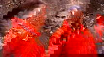 episode poster