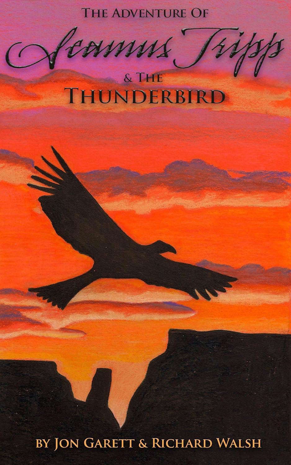 Seamus Tripp & the Thunderbird (The Adventures of Seamus Tripp) poster