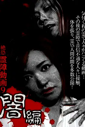 Terrifying Spirit Disturbance Video 9: Darkness Edition poster