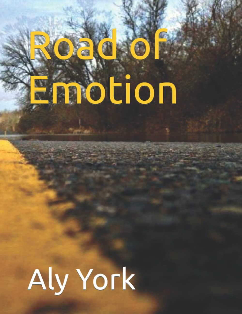 Road of Emotion poster