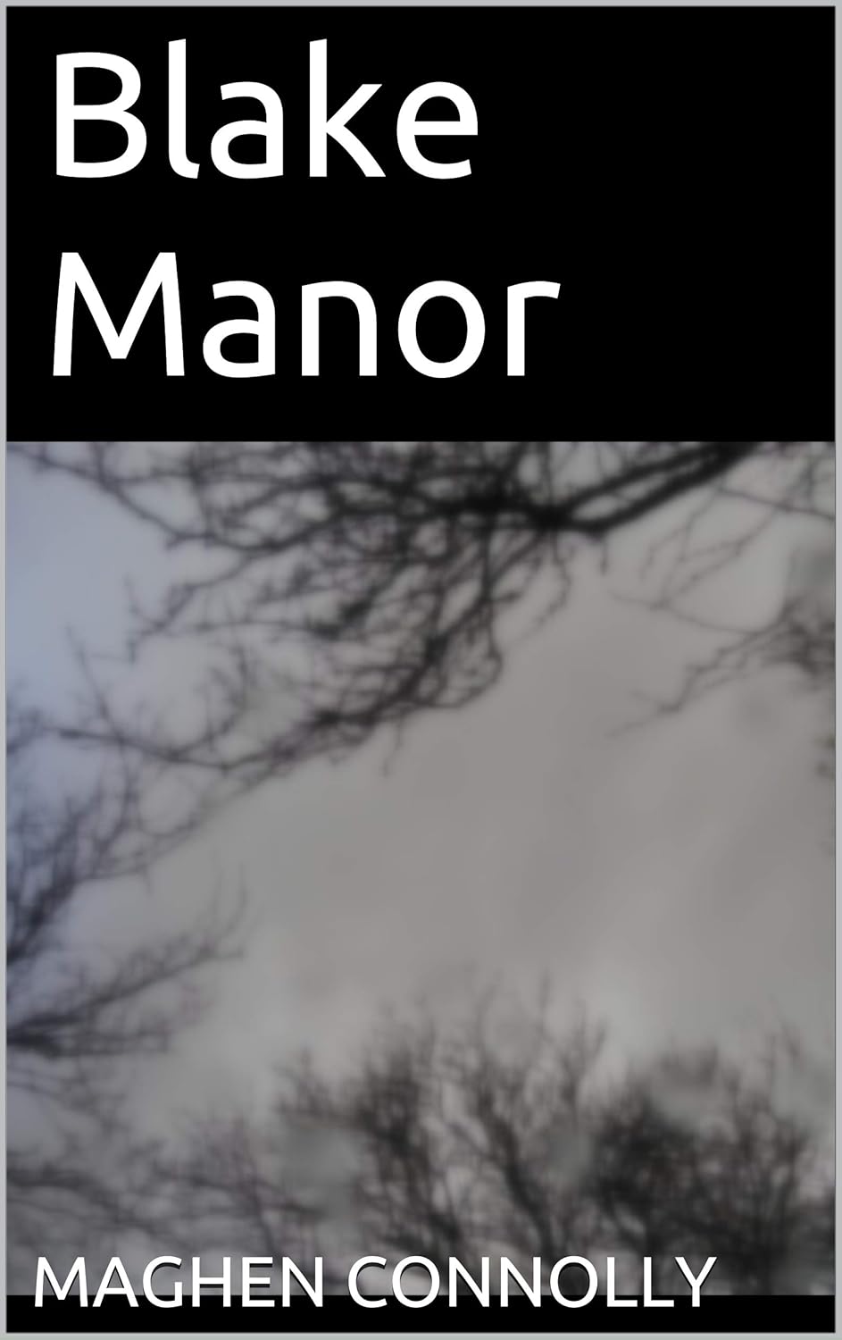 Blake Manor (The Gifted Book 1) poster