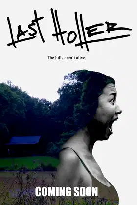 Last Holler poster