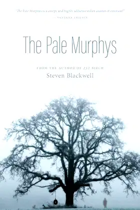 The Pale Murphys poster