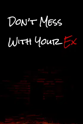 Don't Mess With Your Ex poster
