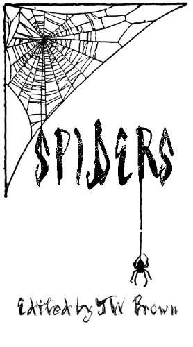 SPIDERS poster