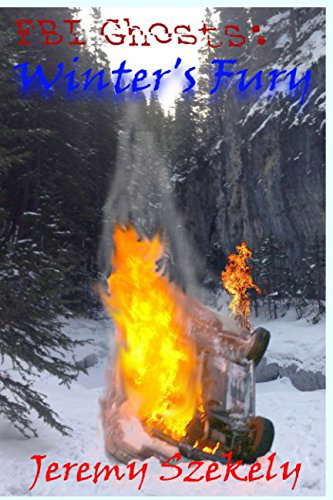 FBI Ghosts: Winters Fury poster