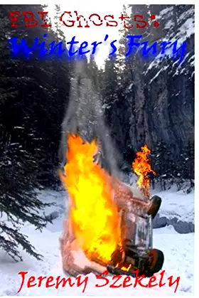 FBI Ghosts: Winters Fury poster