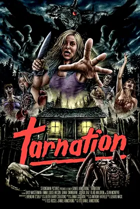 Tarnation poster