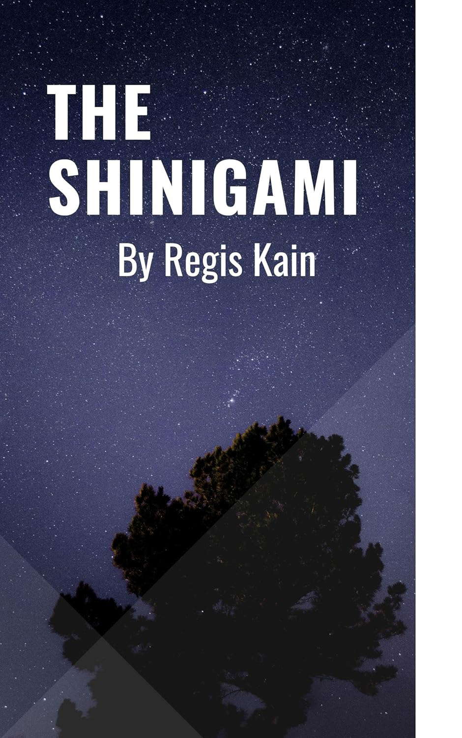 The Shinigami poster