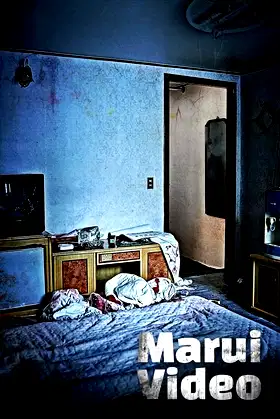 Marui Video poster