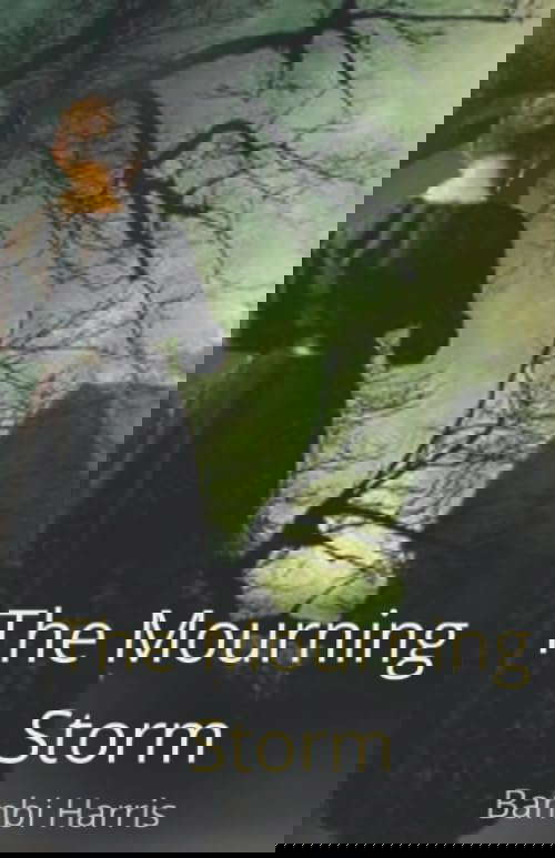 The Mourning Storm poster