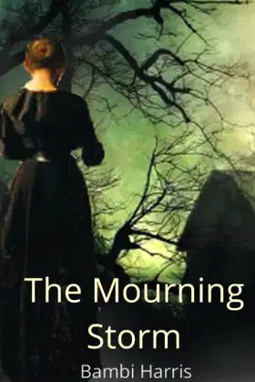 The Mourning Storm poster