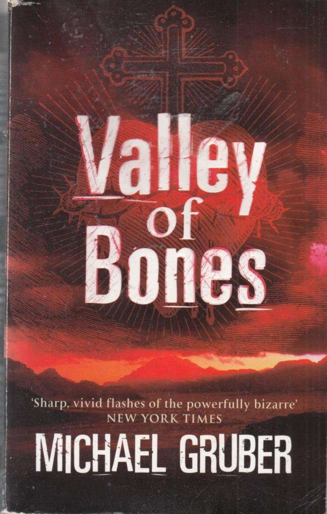 Valley of Bones poster