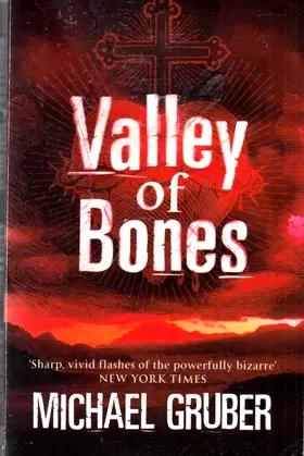Valley of Bones poster