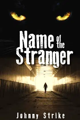 Name of the Stranger poster