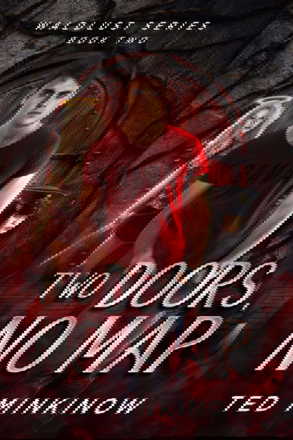 Two Doors, No Map: Book 2 of the Waldlust Series poster