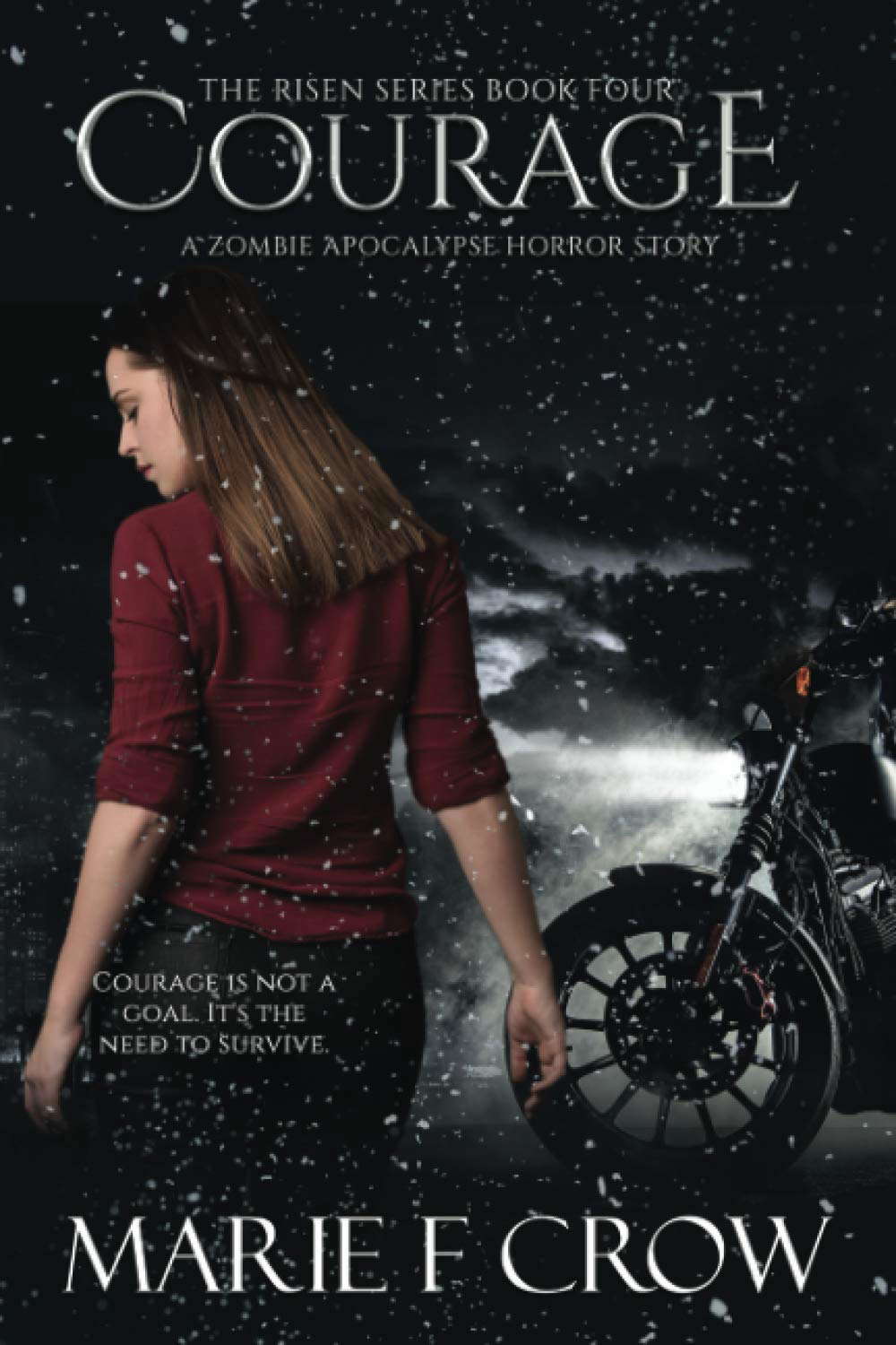 Courage (The Risen Series) poster