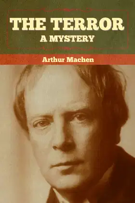 The Terror: A Mystery poster