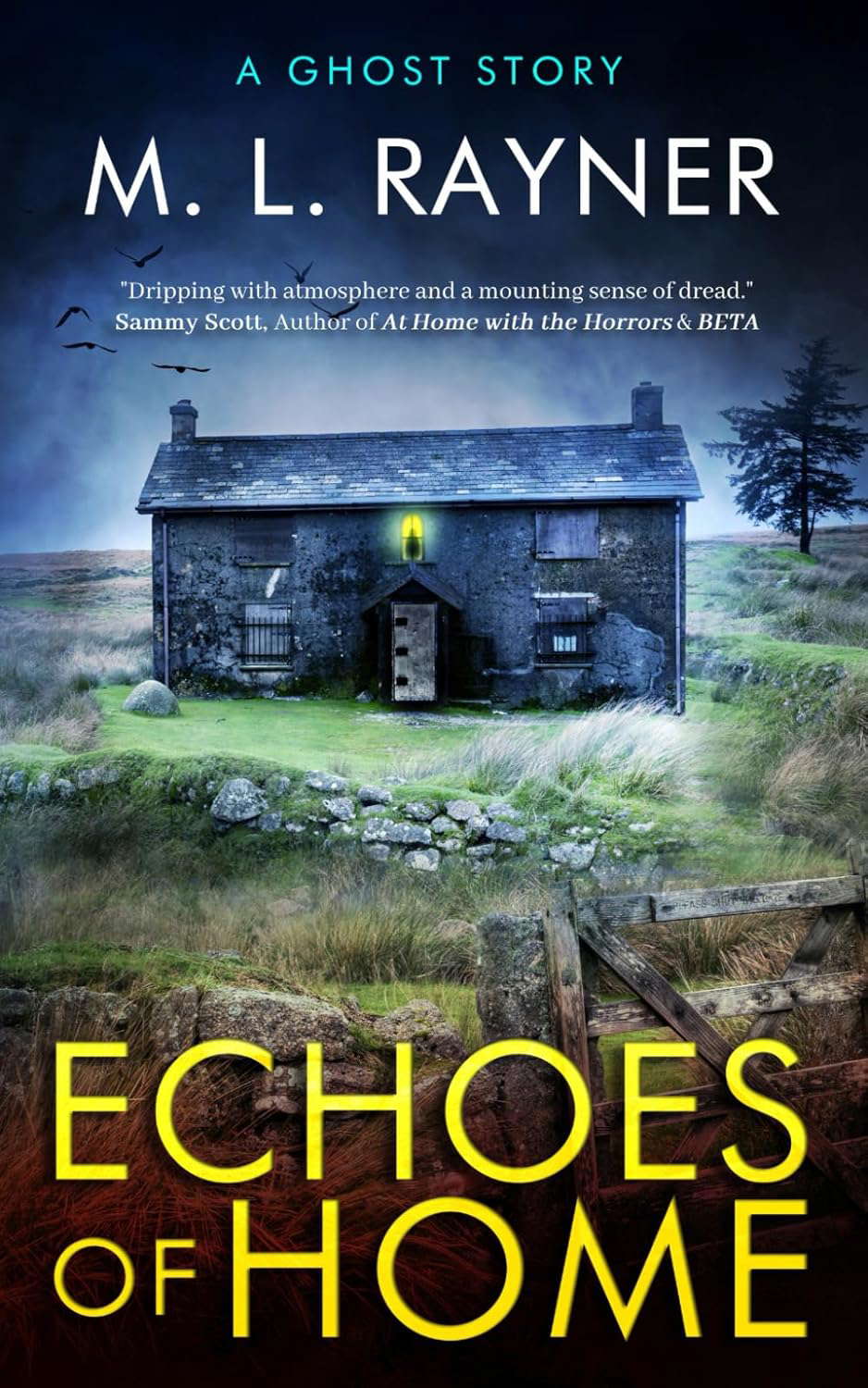 Echoes Of Home: A Ghost Story (Lost Soul Series) poster