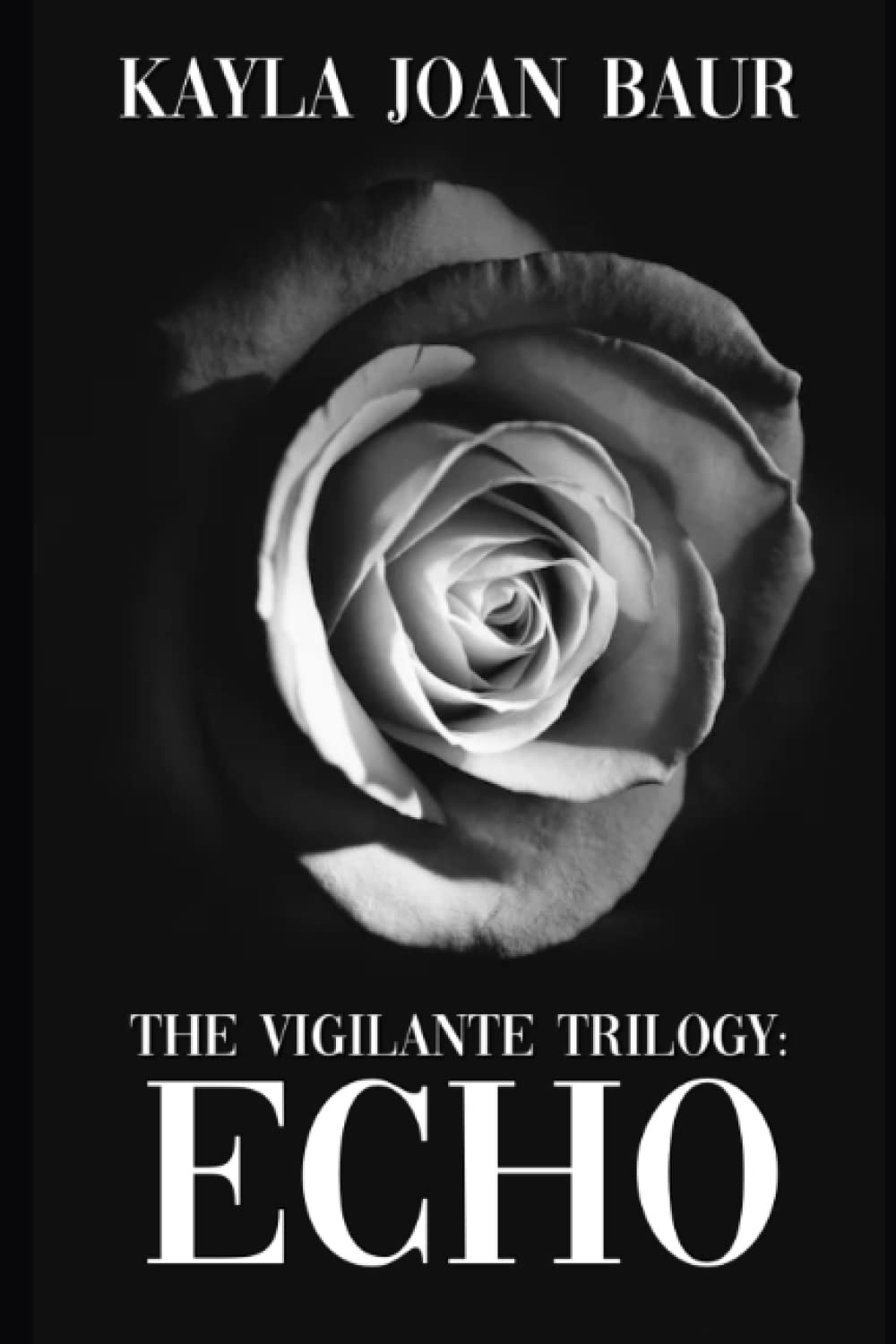 The Vigilante Trilogy: Echo poster