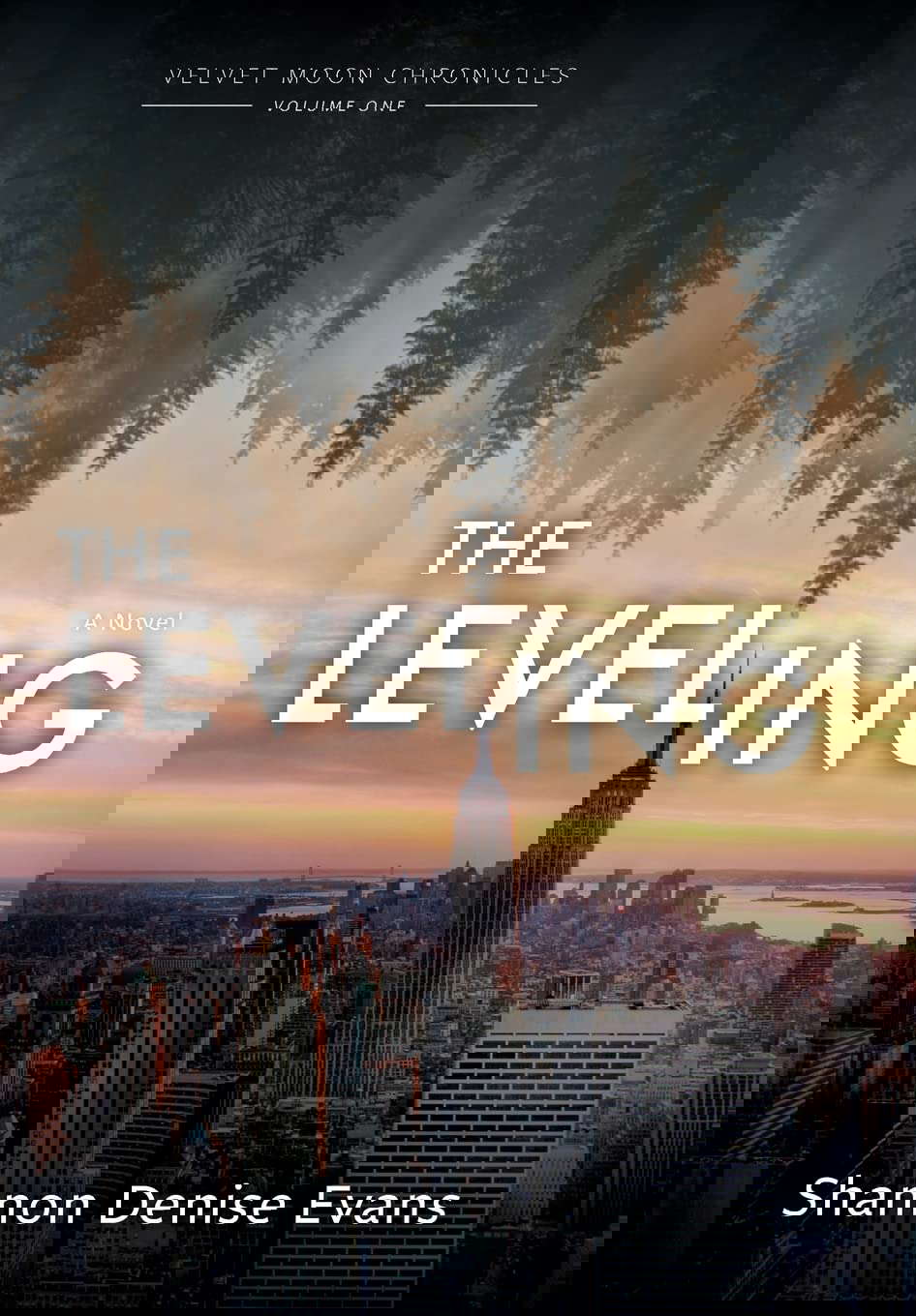 Velvet Moon Chronicles: The Leveling poster