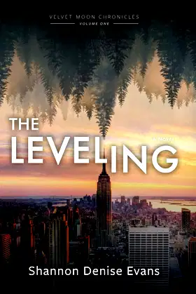 Velvet Moon Chronicles: The Leveling poster