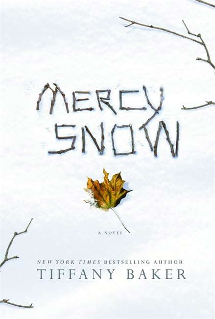 Mercy Snow: A Novel poster