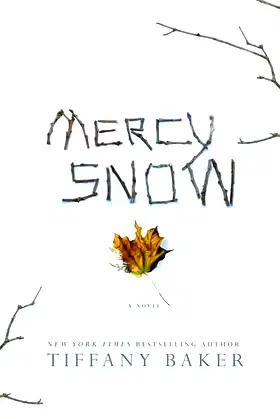 Mercy Snow: A Novel poster