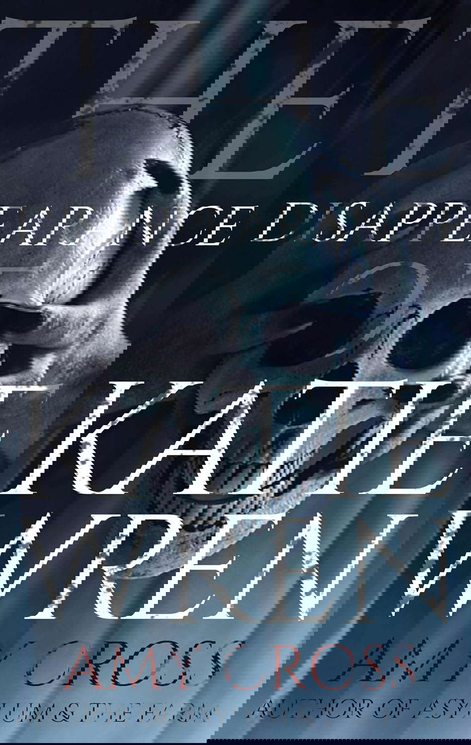 The Disappearance of Katie Wren poster