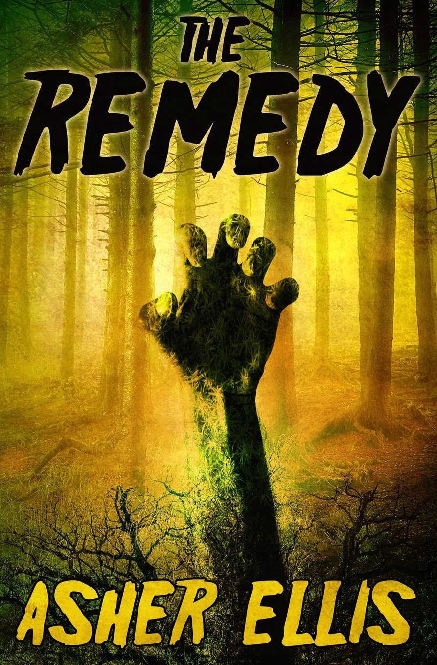 The Remedy poster
