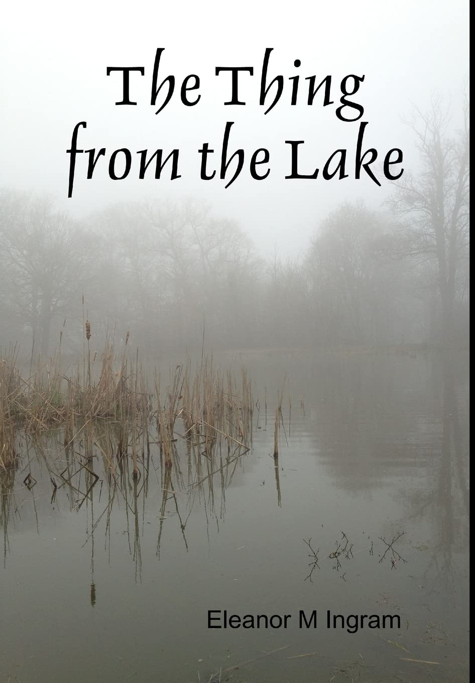 The Thing from the Lake poster