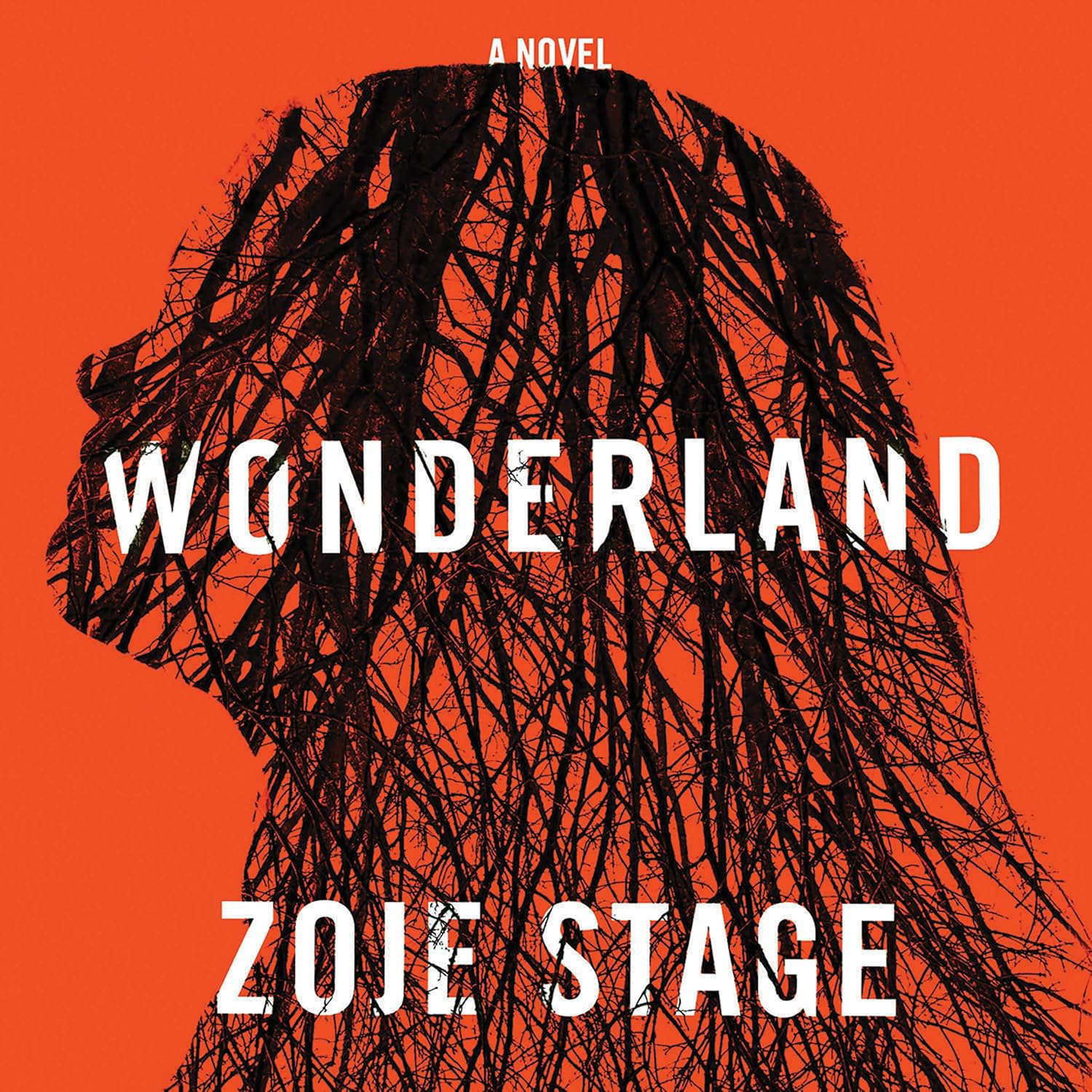 Wonderland poster