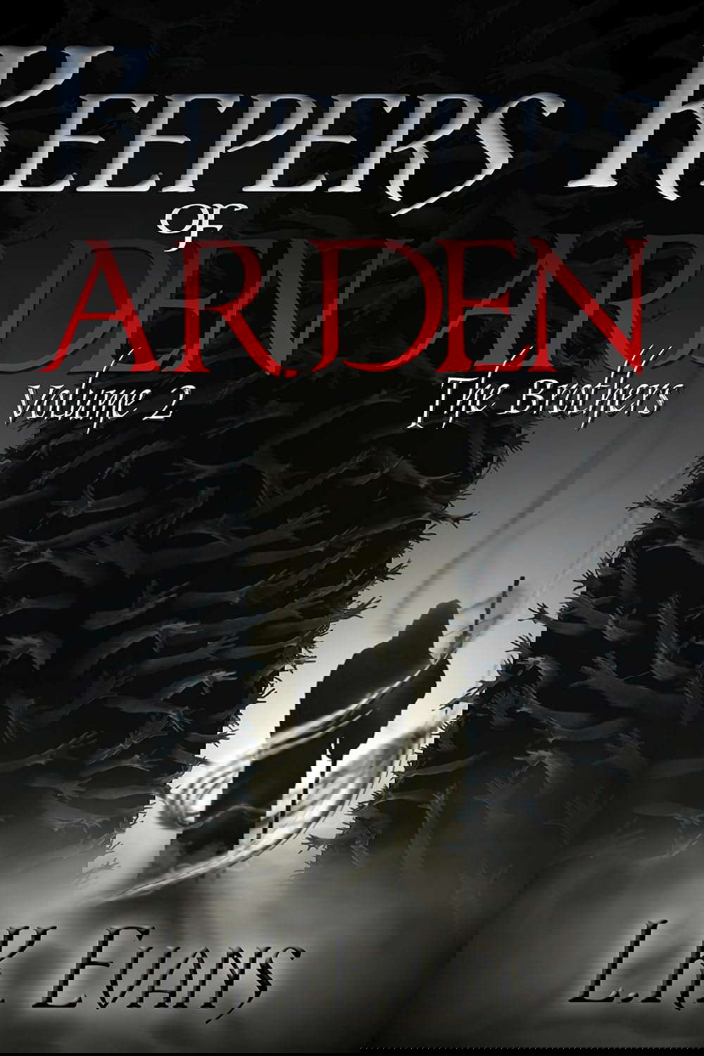 Keepers of Arden: The Brothers Volume 2 poster