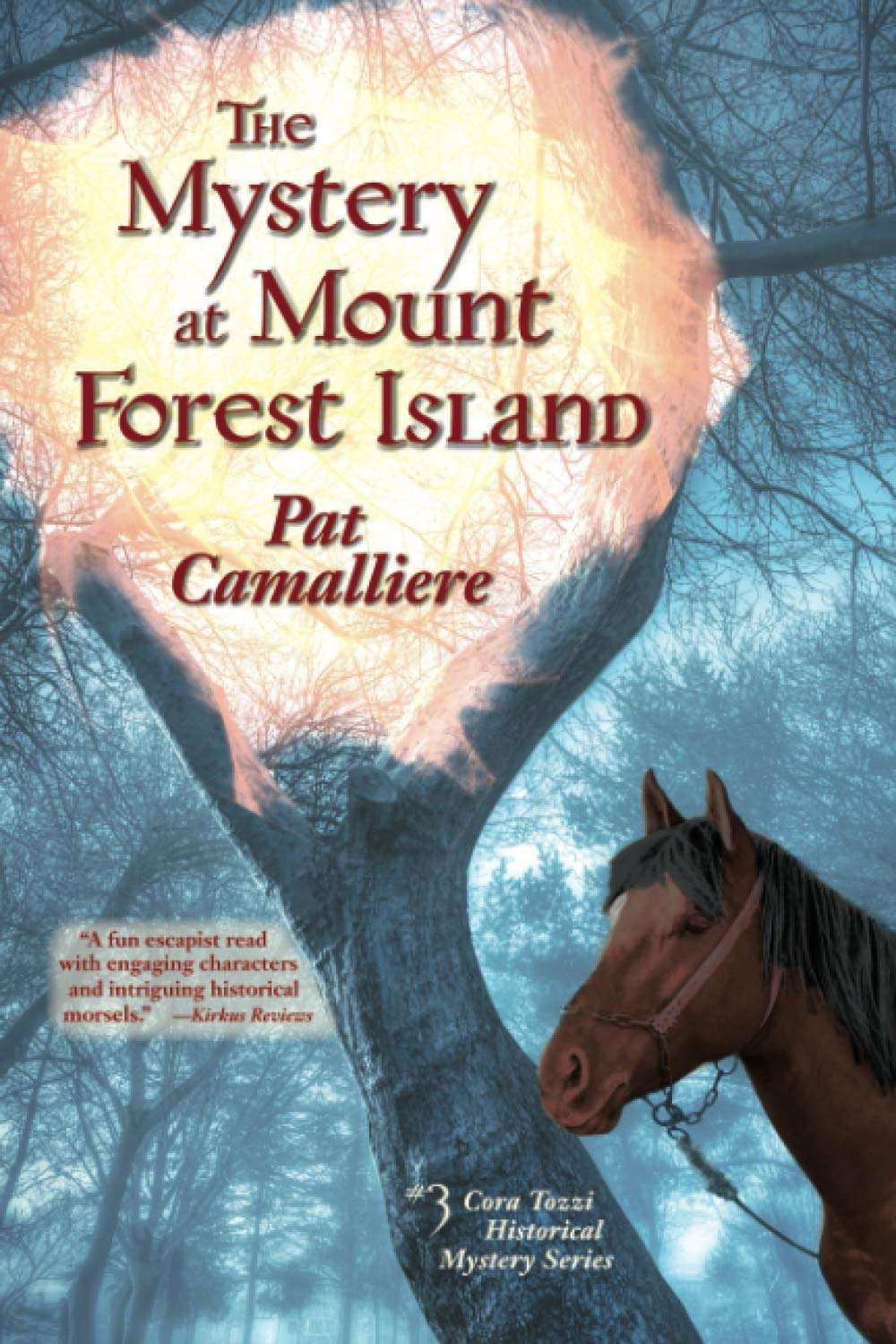 The Mystery at Mount Forest Island (Cora Tozzi Historical Mystery) poster