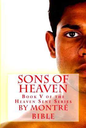 Sons of Heaven (Heaven Sent Series) poster