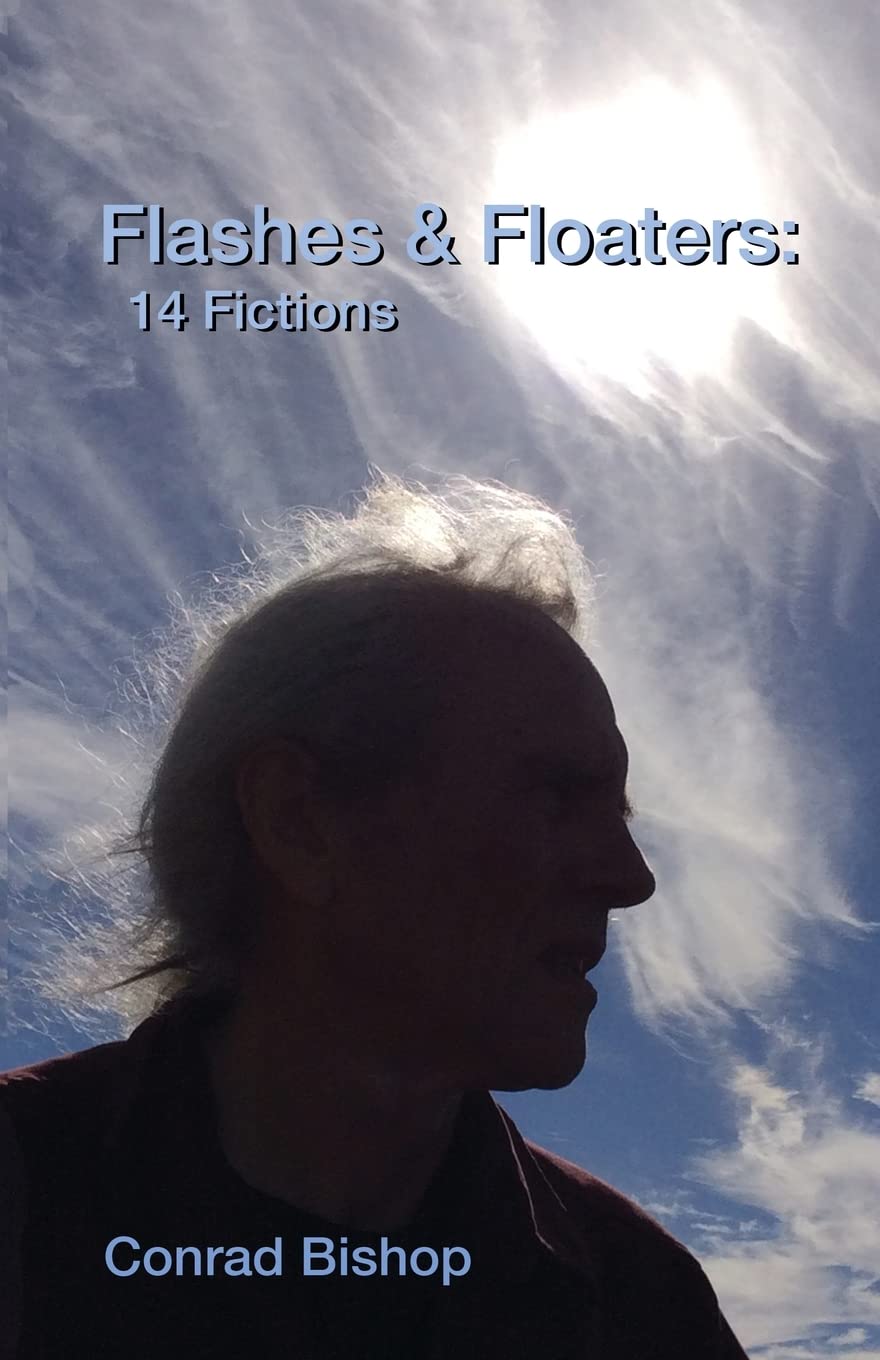 Flashes & Floaters poster
