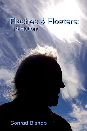 Flashes & Floaters poster