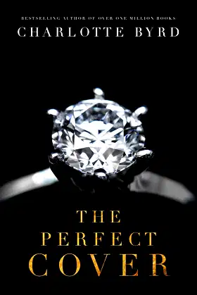 The Perfect Cover (The Perfect Stranger) poster
