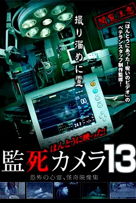 Paranormal Surveillance Camera 13 poster