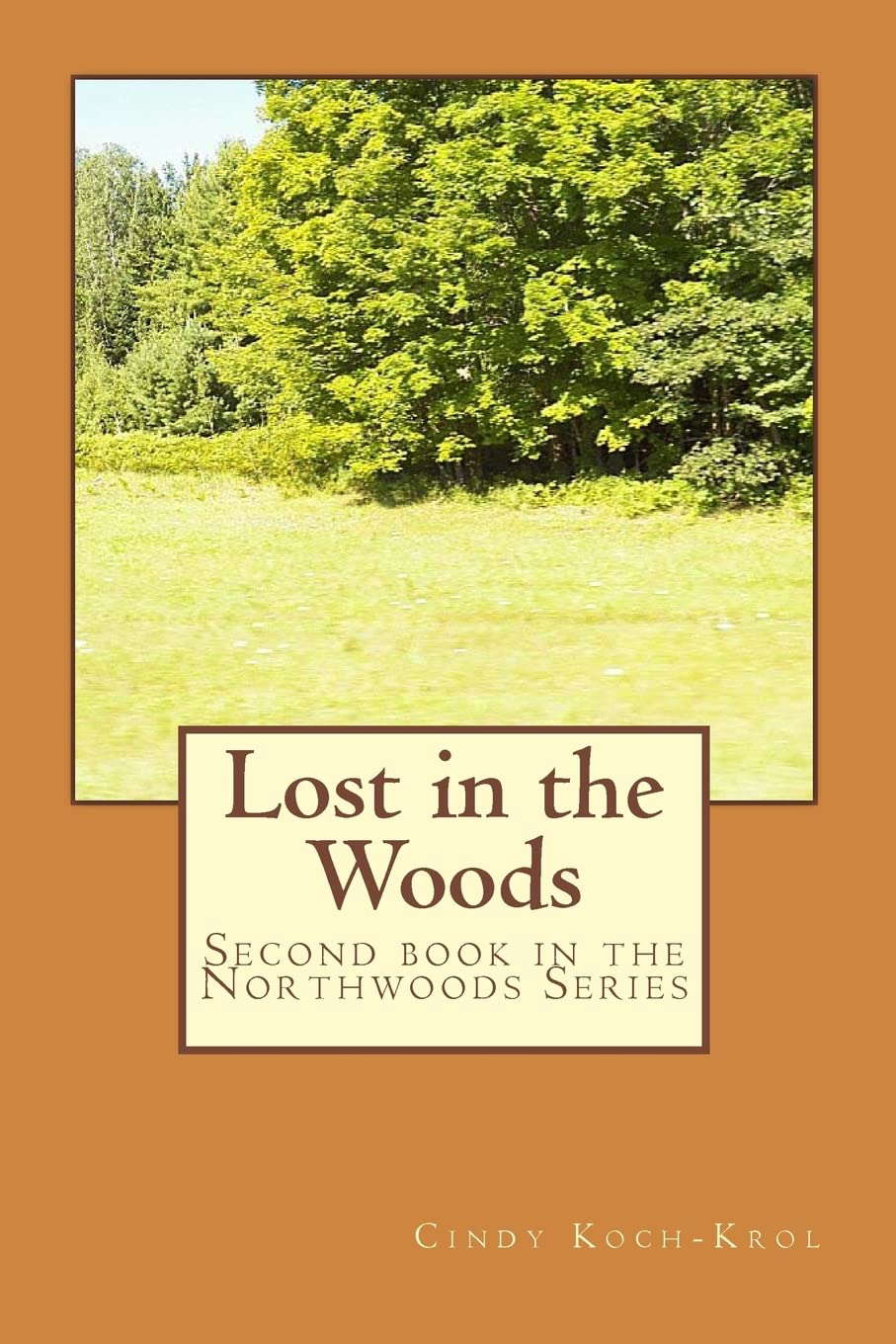 Lost in the Woods (Northwoods) poster