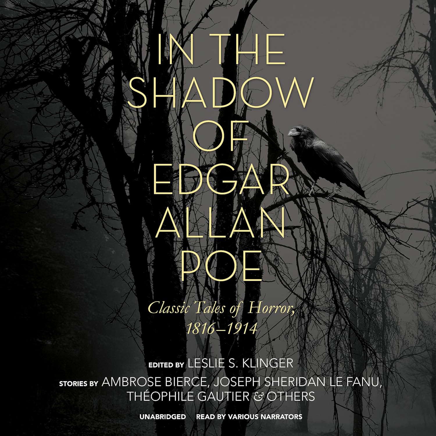 In the Shadow of Edgar Allan Poe: Classic Tales of Horror, 1816-1914 poster