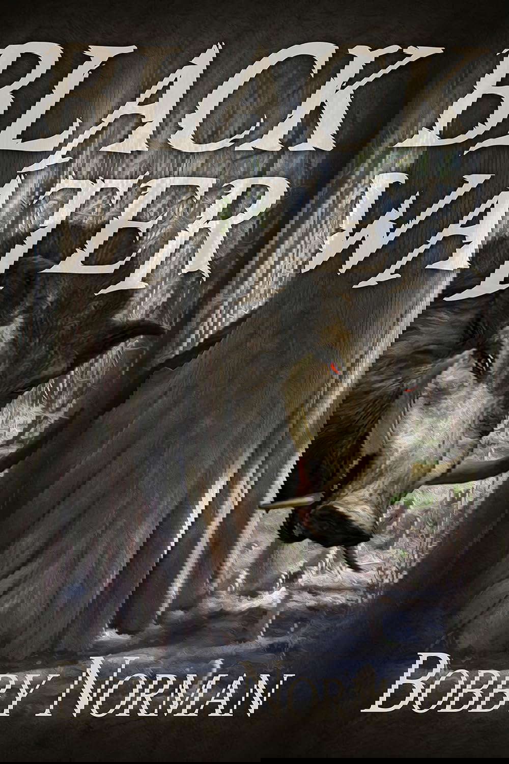 Black Water poster