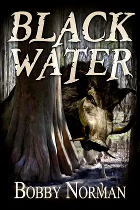 Black Water poster