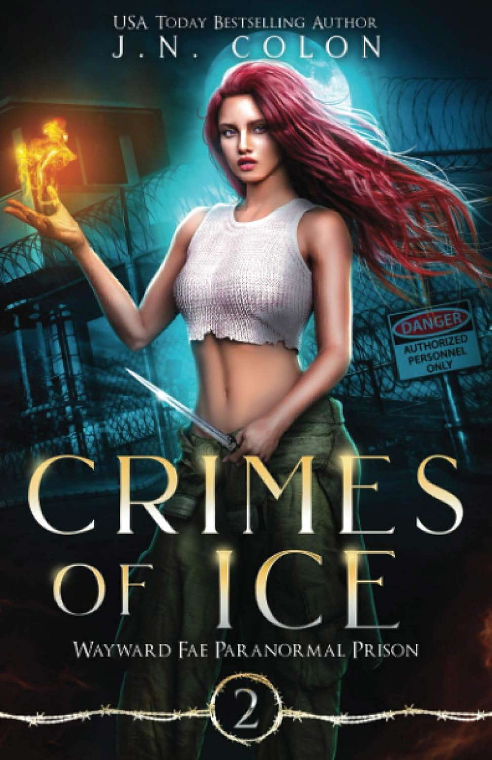 Crimes of Ice (Wayward Fae Paranormal Prison) poster