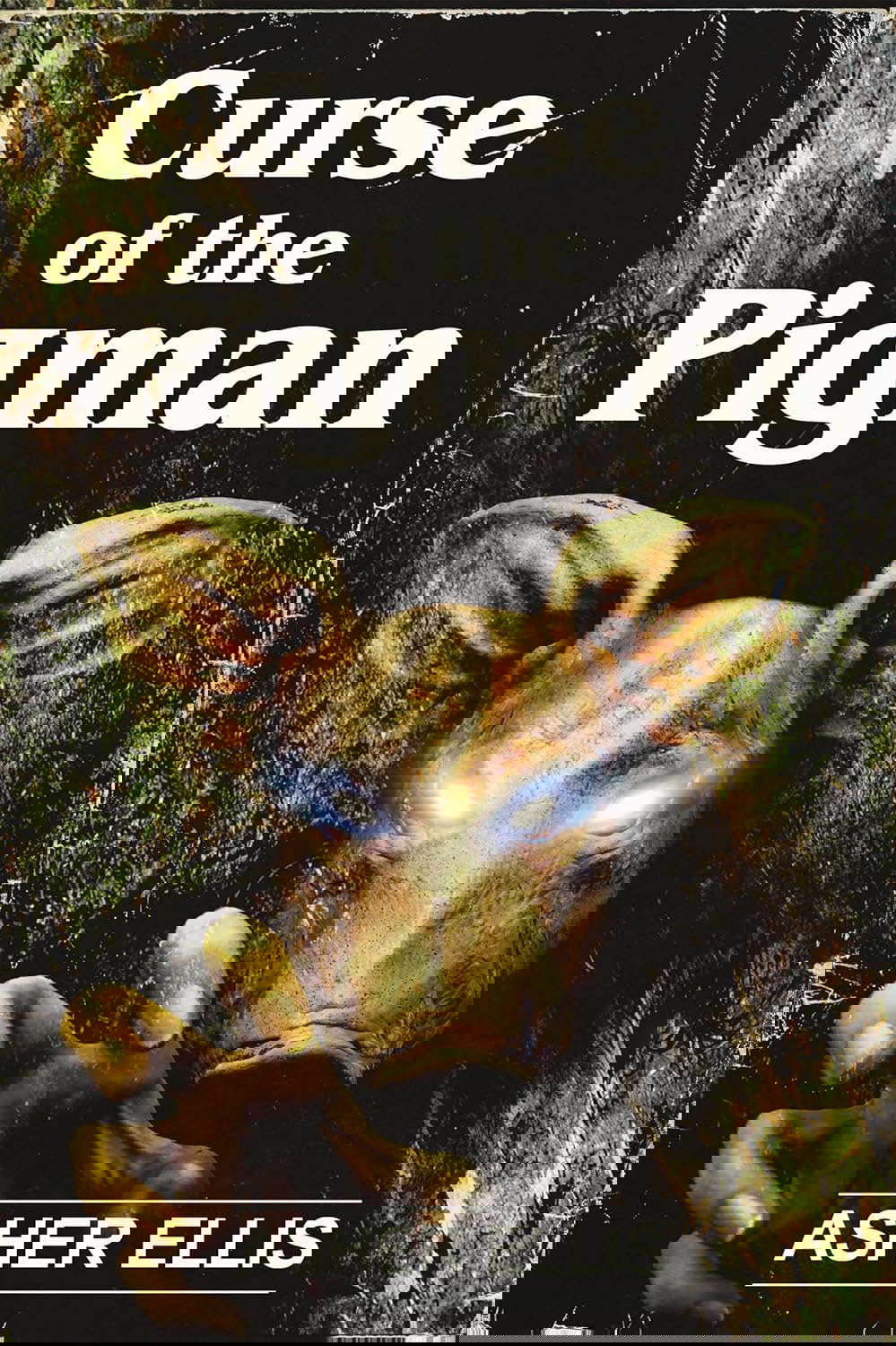 Curse of the Pigman poster