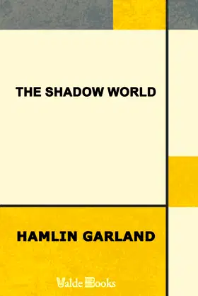 The Shadow World poster